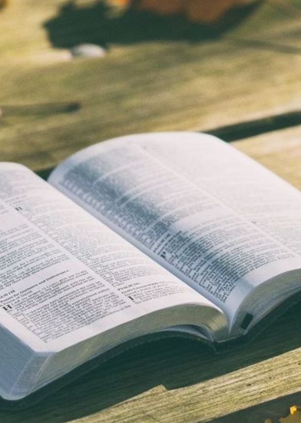 Bibelsyn og lesemåter – for barnehagelærere