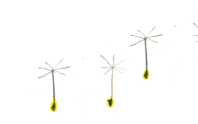 skjermbilde-2025-10-28-194205